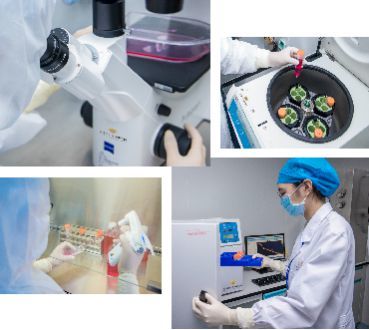 自貿區示范新篇章 壹加健康攜手珠海市人民醫院，開啟細胞技術研發與應用生命健康戰略合作