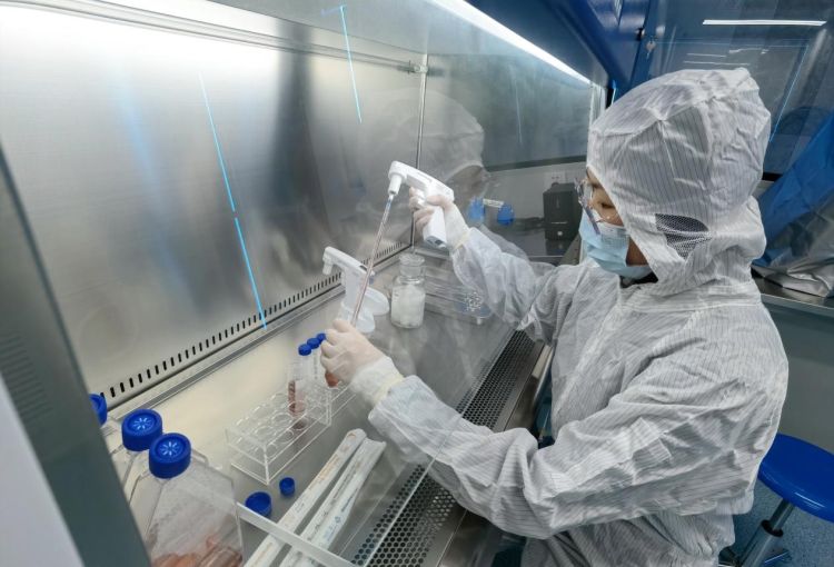 深圳細胞產業迎來新引擎 “大灣區國際綜合細胞庫與區域制備中心”揭牌，加速技術研發與應用