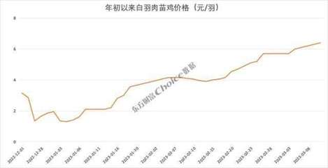 價(jià)格暴漲374%，新一輪“雞周期”來了？苗雞市場(chǎng)異動(dòng)背后的邏輯與展望